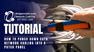 How to Punch Down CAT6 Network Cabling into a Patch Panel  BridgeCablecom [upl. by Rexferd]