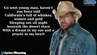 Toby Keith  Shouldve Been A Cowboy  Lyrics Meaning [upl. by Ilime659]