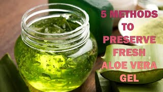 Preserve Aloe Vera Gel At Home [upl. by Daryl]