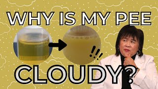 Why Is My Urine Cloudy [upl. by Ecirtael]