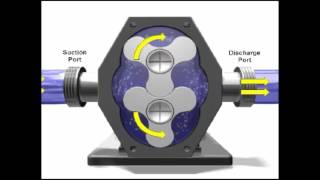 Rotary Pump Demonstration [upl. by Silirama]