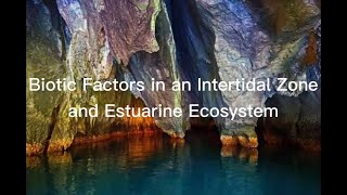 Biotic Factors in an Intertidal Zone and Estuarine Ecosystem [upl. by Kleon]