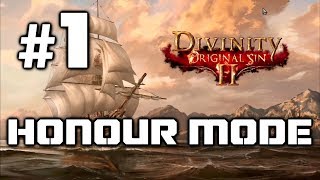 Divinity Original Sin 2  Honour Walkthrough Troubled Waters Reach Level 2 from Start  Part 1 [upl. by Noid616]