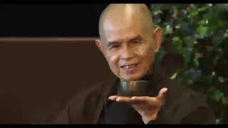 Thich Nhat Hanh How To Really BE Yourself All The Time [upl. by Ronacin]