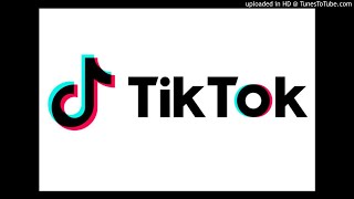 quotladies and gentlemen we got himquot FULL SONG FROM TIK TOK [upl. by Gianina]