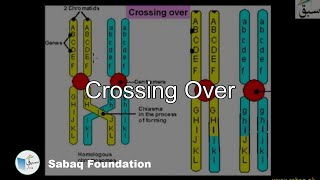 Crossing Over Biology Lecture  Sabaqpk [upl. by Serolod]