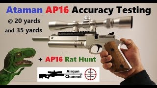 Ataman AP16 Review AP16 Accuracy Test  AP16 Rat Hunting [upl. by Fruma]