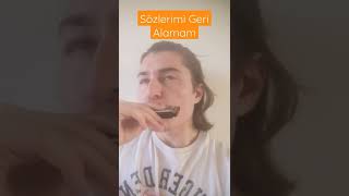 Sözlerimi Geri Alamam MızıkaHarmonica [upl. by Llehcam]