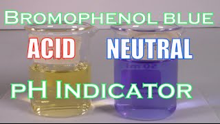 How to Make A Bromophenol Blue Solution pH Indicator [upl. by Chretien]