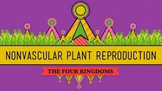 The Reproductive Lives of Nonvascular Plants Alternation of Generations  Crash Course Biology 36 [upl. by Mehitable443]