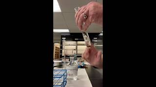 Aldehyde amp Ketone Reactions Experiment [upl. by Dacie730]