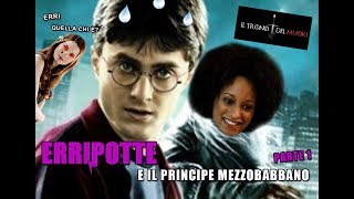 RIASSUNTO ACCURATISSIMO HARRY POTTER quotERRIPOTTE E IL PRINCIPE MEZZOBABBANOquot PT1 [upl. by Inavoig]