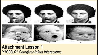 ALevel Psychology AQA Attachment  CaregiverInfant Interactions [upl. by Silvain]