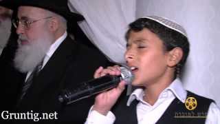 Uziya Tzadok Sings Kochav Meir Live At Chuppah [upl. by Christi]