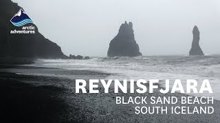 Reynisfjara Black Sand Beach Iceland [upl. by Hally]