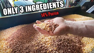 EASY PIG FEED MIX  Only 3 Ingredients 14 Protein [upl. by Notnarb]