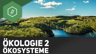 Ökosysteme  Ökologie 2 [upl. by Anaili]