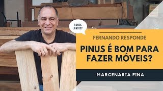 Pinus é uma madeira boa para móveis Fernando responde [upl. by Fons464]