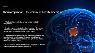 Chapter 141 Homeostasis  Thermoregulation [upl. by Naerb]