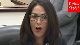 Lauren Boebert Calls Out Dems I Did Not Hear The Outcry From Dems Over Firings Of Energy Workers [upl. by Siladnerb]