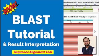 What is BLAST  Tutorial amp Interpretation [upl. by Vinaya]