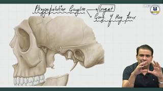 Parasympathetic Ganglia  Anatomy by Dr Ashwani Kumar [upl. by Gauldin]