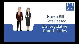 How a Bill Gets Passed From Bill to Law  US Legislative Branch Series  Academy 4 Social Change [upl. by Hawk]