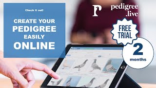 PEDIGREE ONLINE APPLICATION FOR RACING PIGEONS [upl. by Laroy]