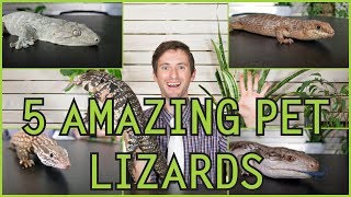 Five of the Best Pet Lizards You Could Possibly Get [upl. by Asenad]