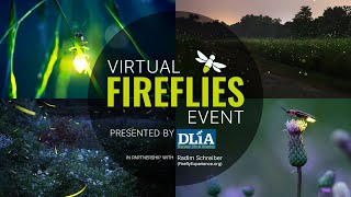 Virtual Fireflies Event presented by Discover Life in America [upl. by Yemaj371]