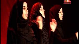 Ya Hussain Hussain Hashim Sisters New 201314 Noha [upl. by Eiramasil371]