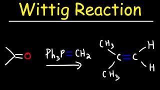 Wittig Reaction Mechanism [upl. by Ylecara83]