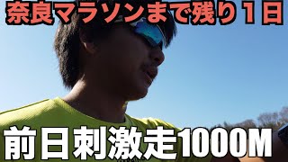 奈良マラソン2022 前日 1000m刺激走と意気込み [upl. by Moynahan572]