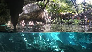 Cenotes of Tulum Mexico  Cancun Snorkeling [upl. by Zimmer]