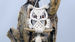 Macrame Owl Wall Hanging Tutorial For Beginners amp Beyond [upl. by Lemrahc]