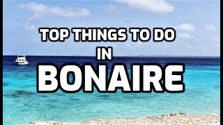 Top Things To Do In Bonaire [upl. by Yecniuq]