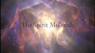 DMT The Spirit Molecule Teaser [upl. by Spoor]