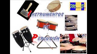 LOS INSTRUMENTOS DE PERCUSIÓN [upl. by Nortal]