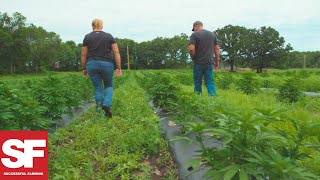 Farmer Grows Hemp for the First Time for CBD Oil  Agronomy Spotlight  Successful Farming [upl. by Grosz]