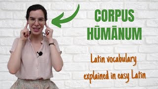 Latin vocabulary for beginners  Corpus humanum [upl. by Meeka136]