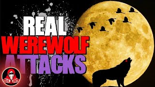 4 REAL Werewolf Attacks  Darkness Prevails [upl. by Clapper]