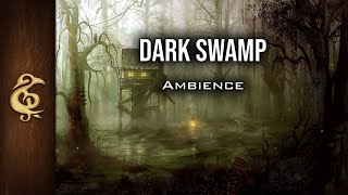 Dark Swamp  Exploration Ambience  1 Hour dnd [upl. by Whorton534]