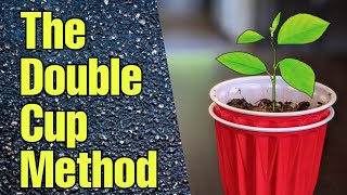 The Double Cup Method to Start Seeds [upl. by Etti66]