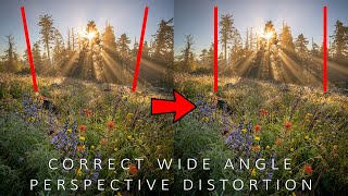 Correct WideAngle Perspective Distortion In Photoshop [upl. by Selden]