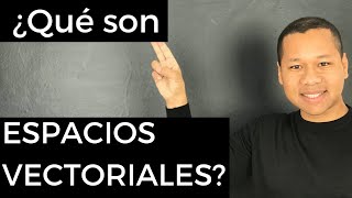 ¿Qué son ESPACIOS VECTORIALES [upl. by Huberty]