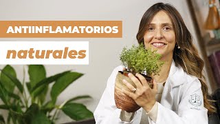 Cómo quitar el dolor con ANTIINFLAMATORIOS NATURALES [upl. by Raymond999]