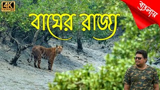 Sundarban  বাঘের রাজ্যে nikonz6ii [upl. by Marzi]