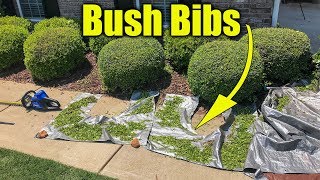 Catch Hedge Trimmings  Bush Bib [upl. by Wait318]