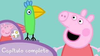 Peppa  Lucas el loro capítulo completo [upl. by Kellina]