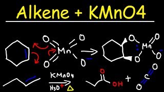 Alkene  KMnO4 Reaction [upl. by Servais148]